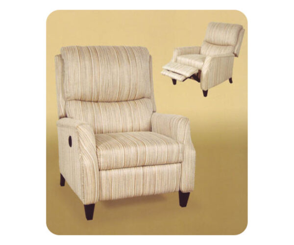 7315 Power 3 Way Hi Leg Recliner